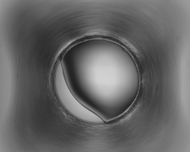 X0000116030877200911271134