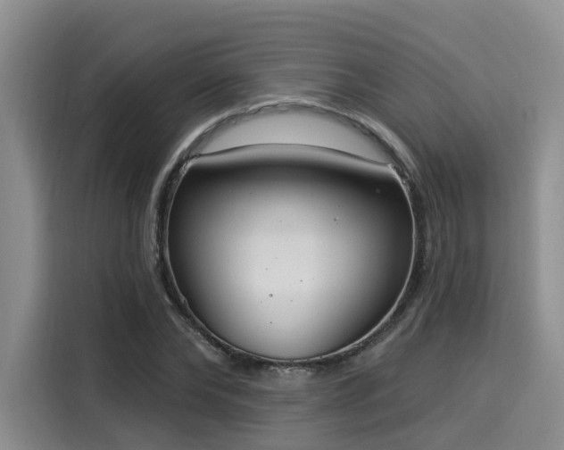 X0000116030878200911271134