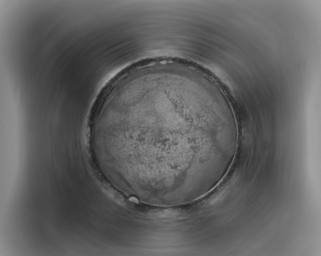 X0000116030879200911271134