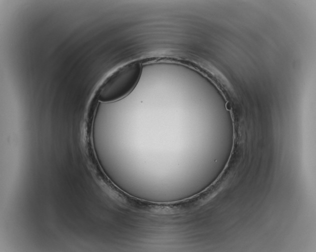 X0000116030880200911271134