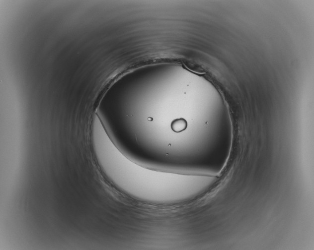 X0000116030881200911271134