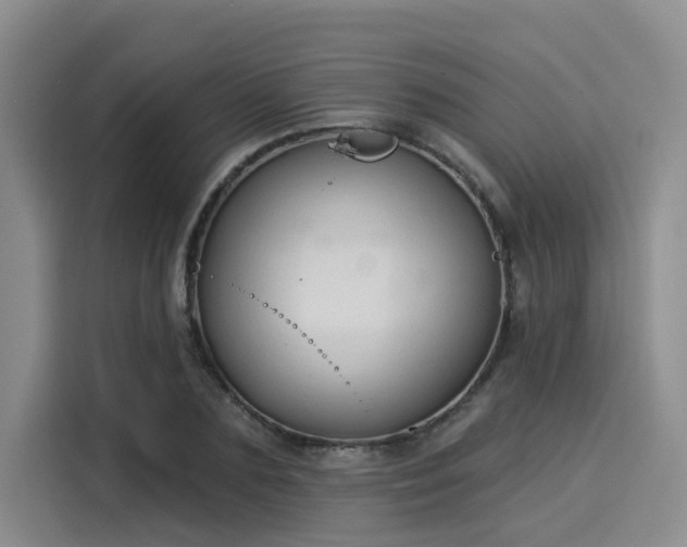 X0000116030883200911271134