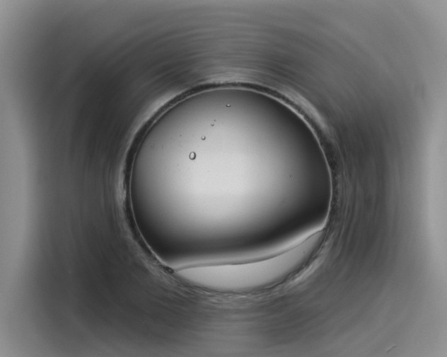 X0000116030885200911271134