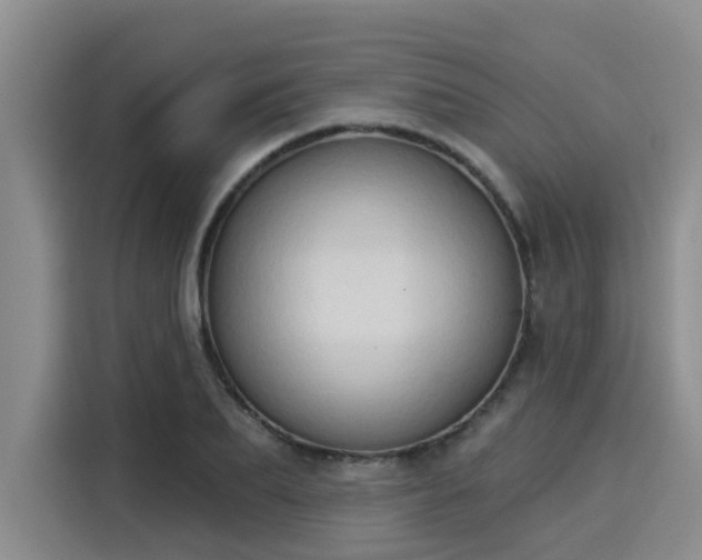 X0000116030887200911271134