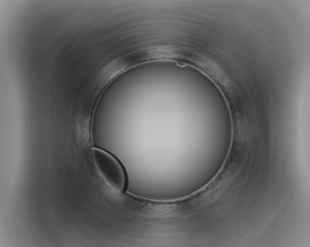 X0000116030889200911271134