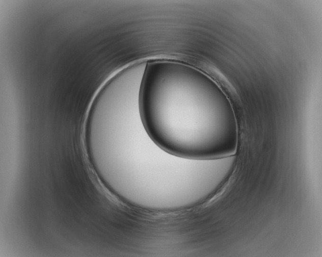 X0000116030892200911271133