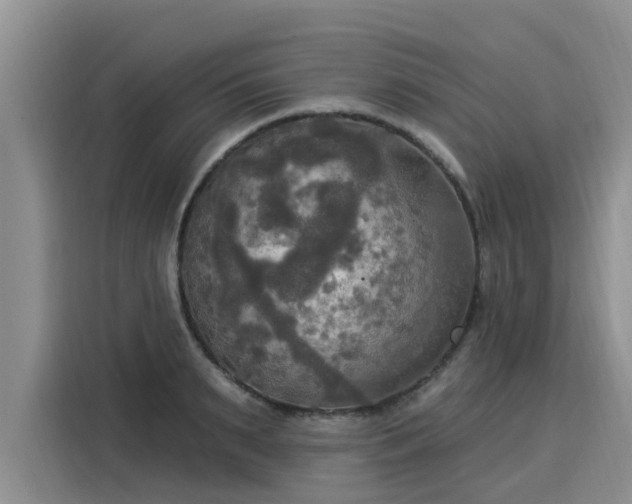 X0000116030895200911271133