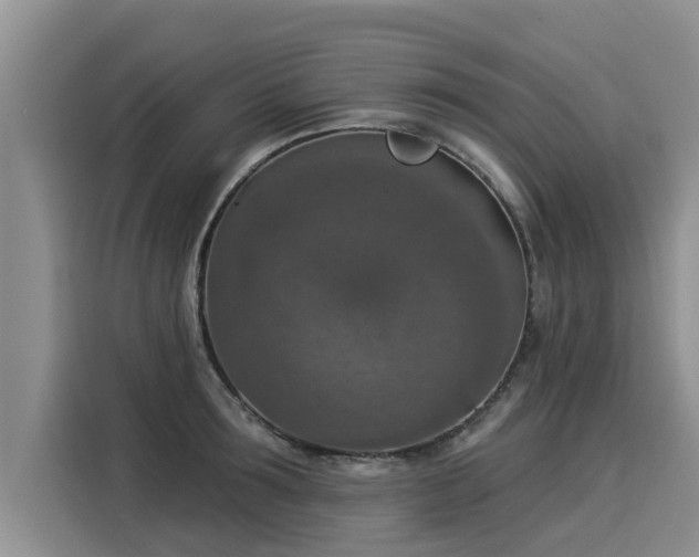 X0000116030899200911271133