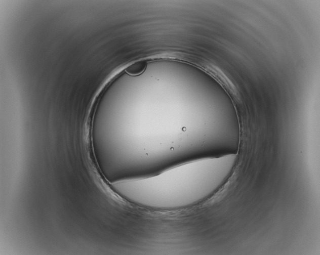 X0000116030900200911271133