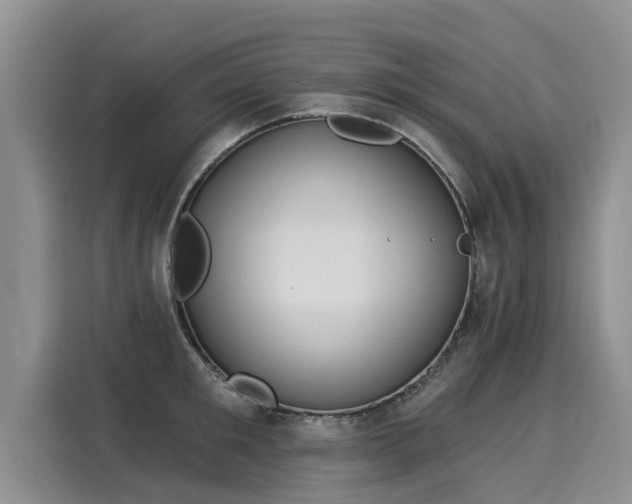 X0000116030901200911271133