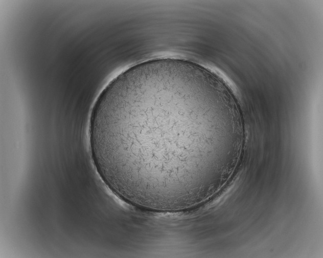 X0000116030902200911271133