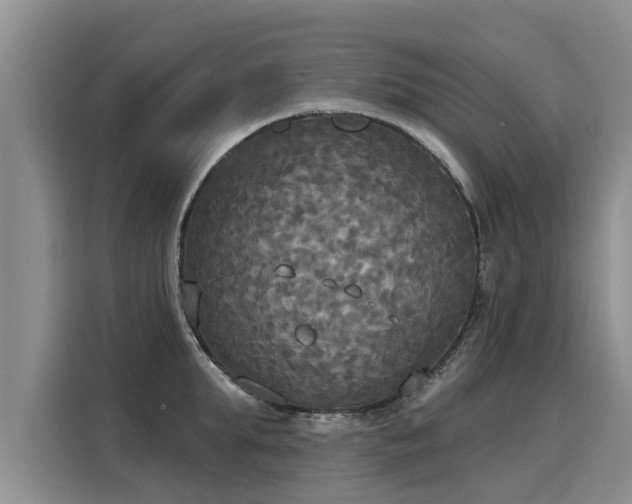X0000116030903200911271133