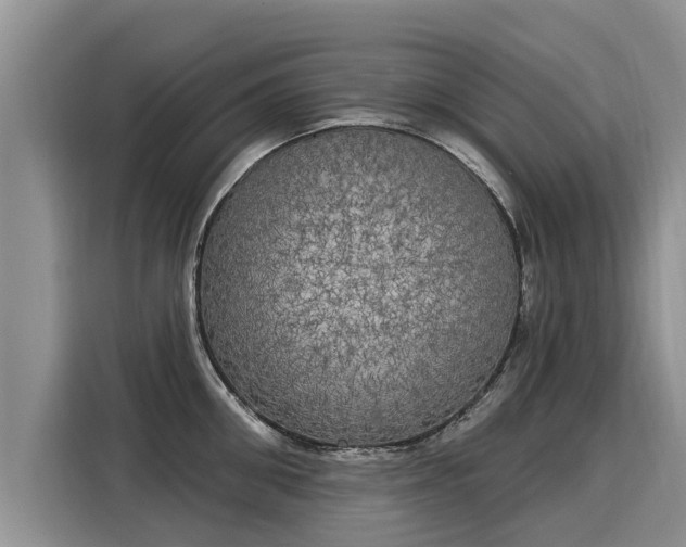 X0000116030906200911271133