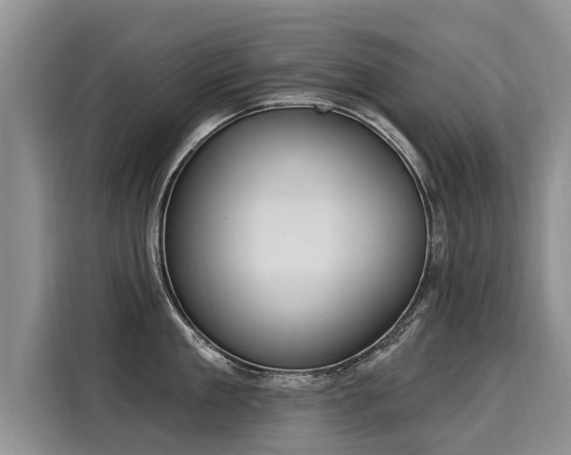 X0000116030909200911271133