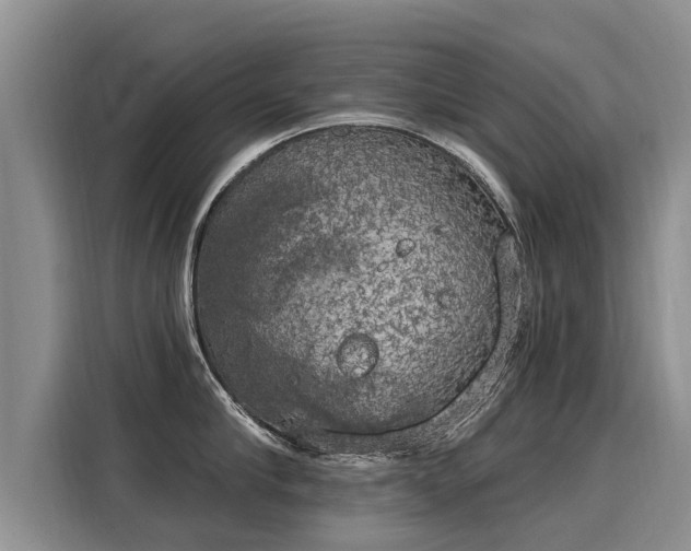 X0000116030910200911271133