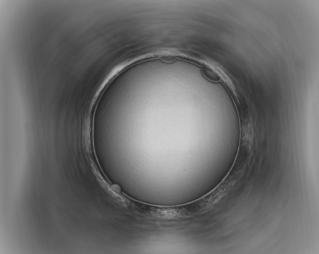X0000116030911200911271133