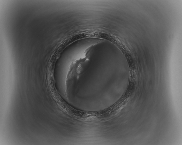 X0000116030913200911271133