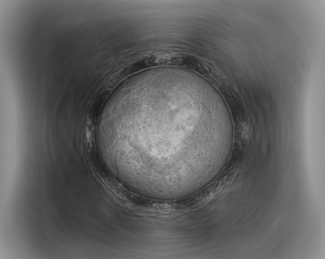 X0000116030914200911271133
