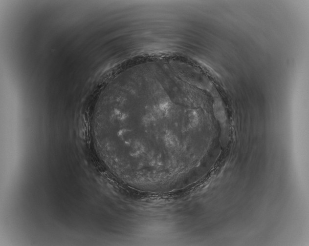 X0000116030917200911271133