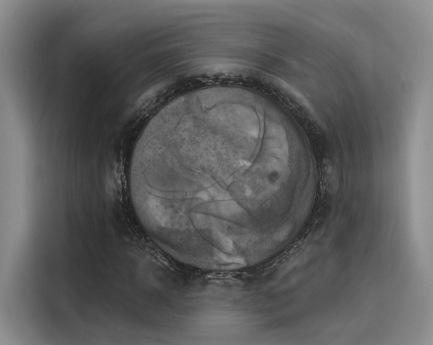 X0000116030918200911271133