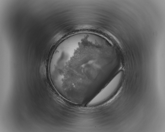 X0000116030921200911271133