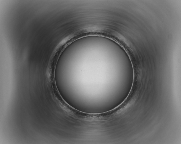 X0000116030922200911271133