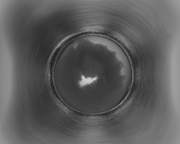 X0000116030923200911271133