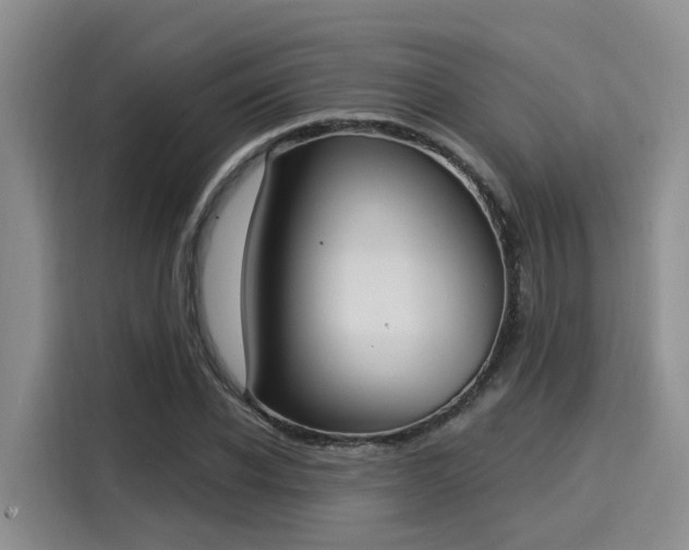 X0000116030926200911271133