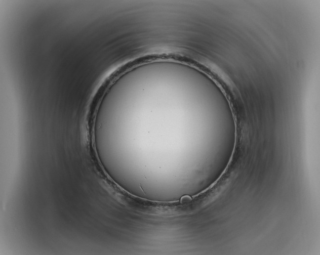 X0000116030927200911271133