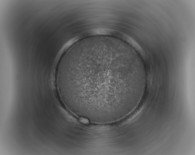 X0000116030930200911271133