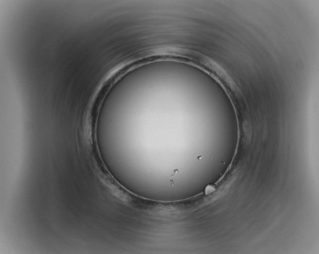 X0000116030931200911271133