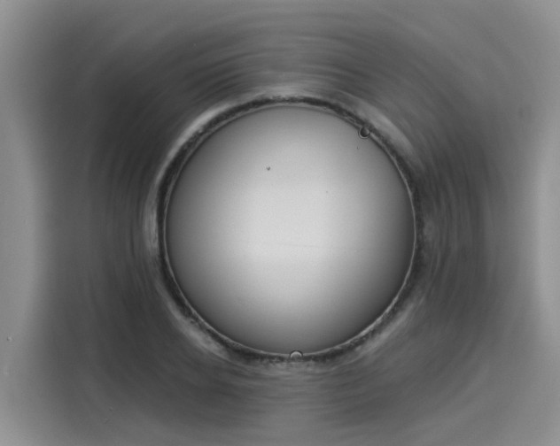 X0000116030934200911271133