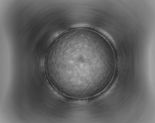 X0000116030937200911271133