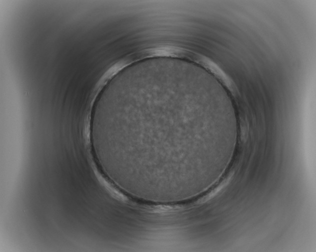 X0000116030938200911271133