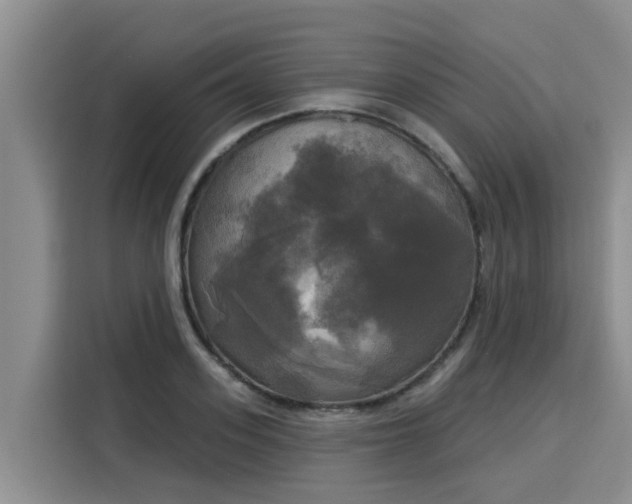 X0000116030939200911271133