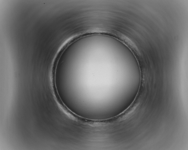 X0000116030942200911271133