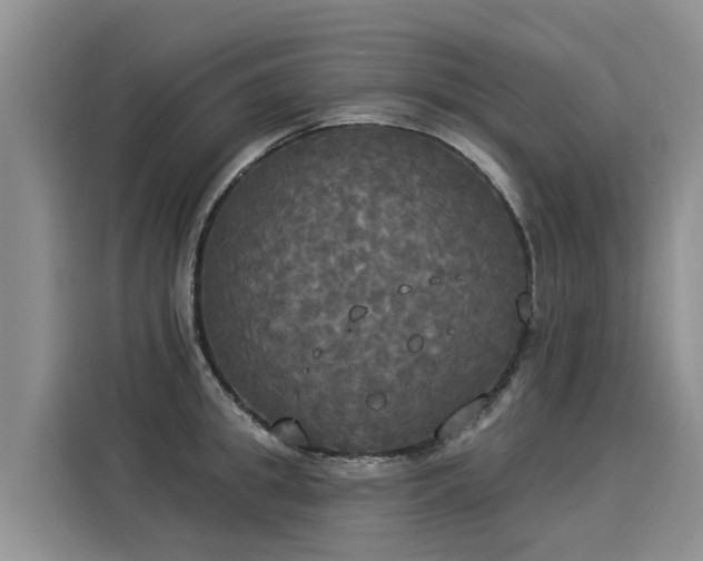 X0000116030949200911271133