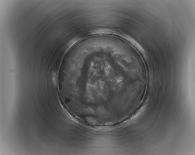 X0000116030953200911271133