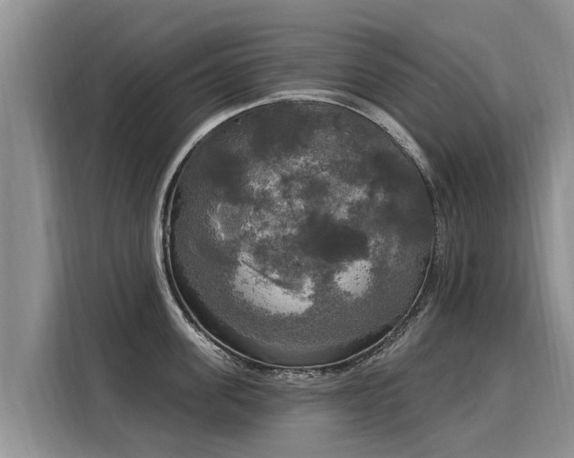 X0000116030955200911271133