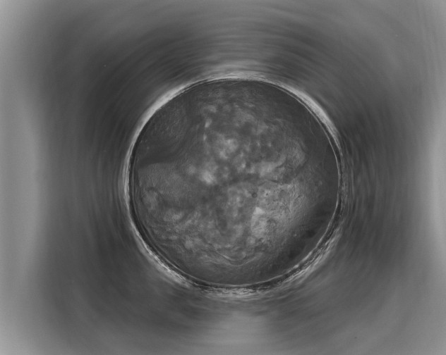 X0000116030957200911271133