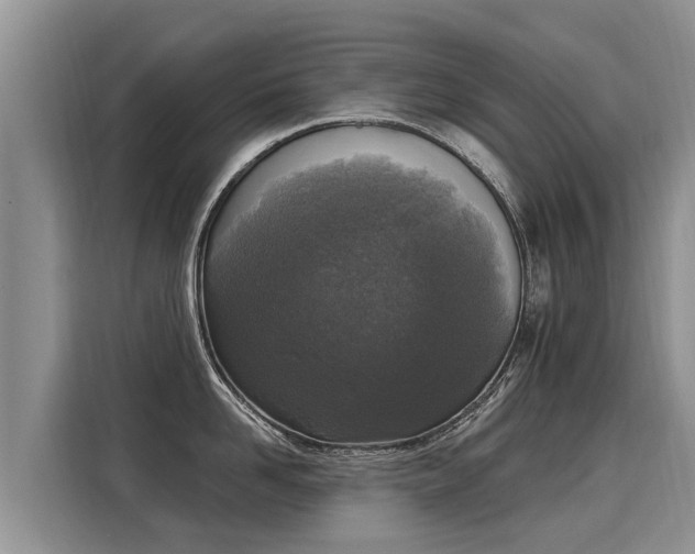 X0000116030958200911271133