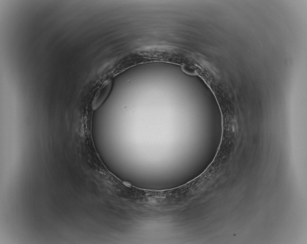 X0000116030965200911271133