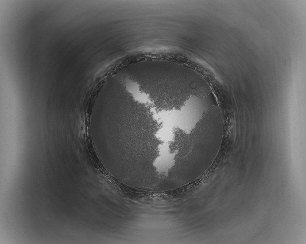 X0000116030966200911271133
