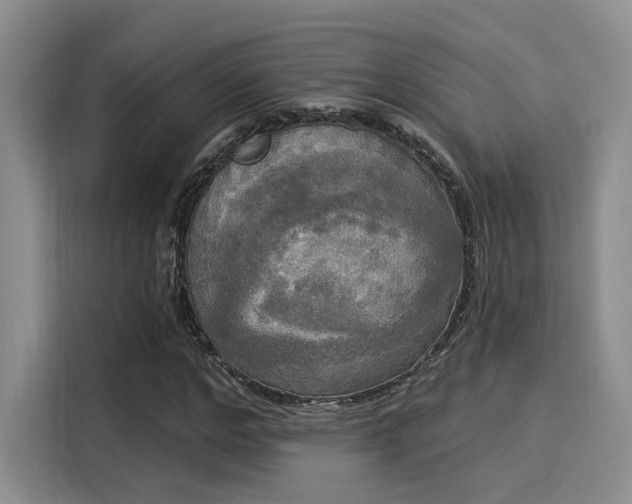 X0000116030968200911271133