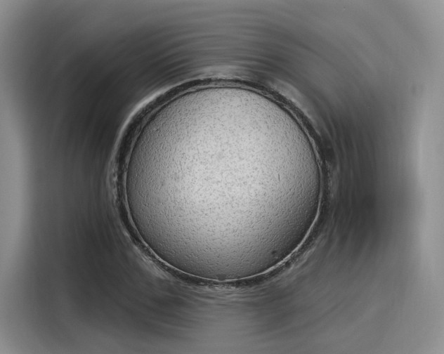 X0000116030971200911271132