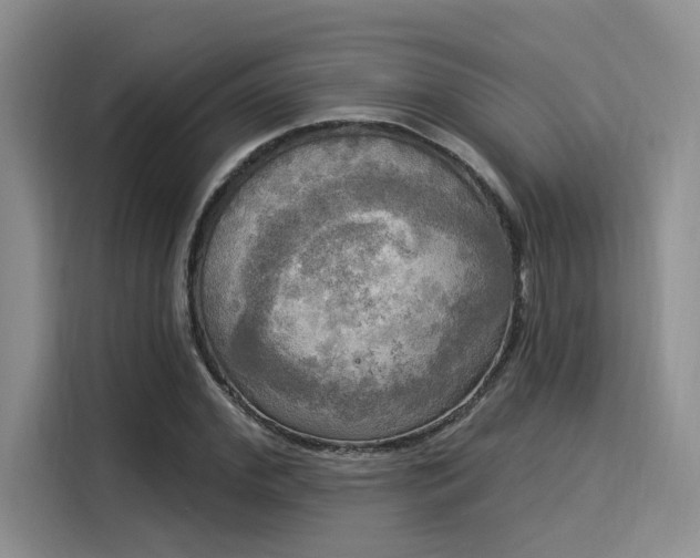 X0000116030972200911271132