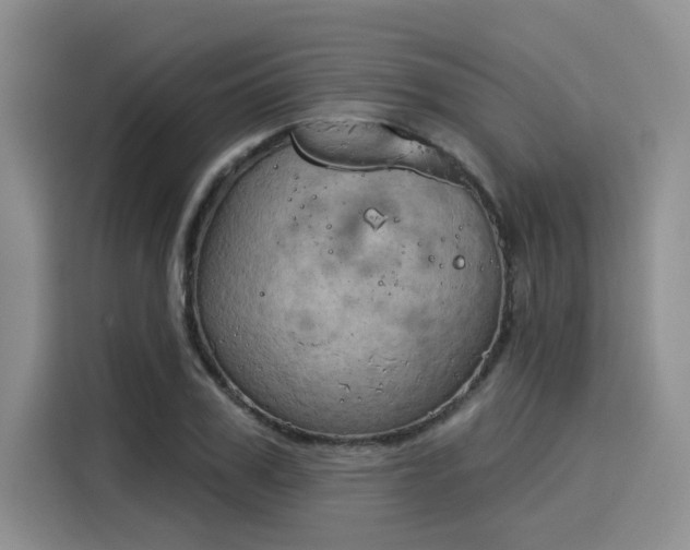 X0000116030979200911271132