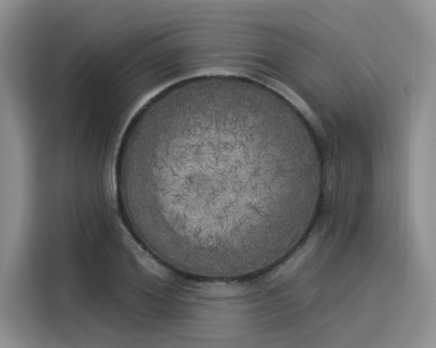 X0000116030980200911271132