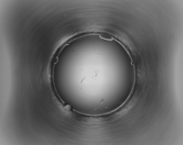 X0000116030981200911271132