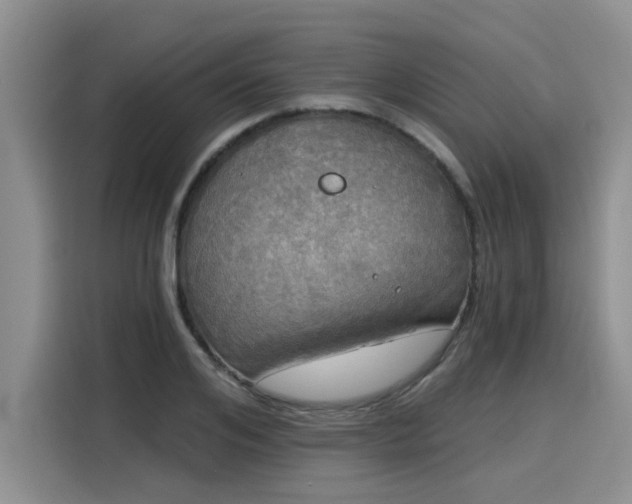 X0000116030984200911271132